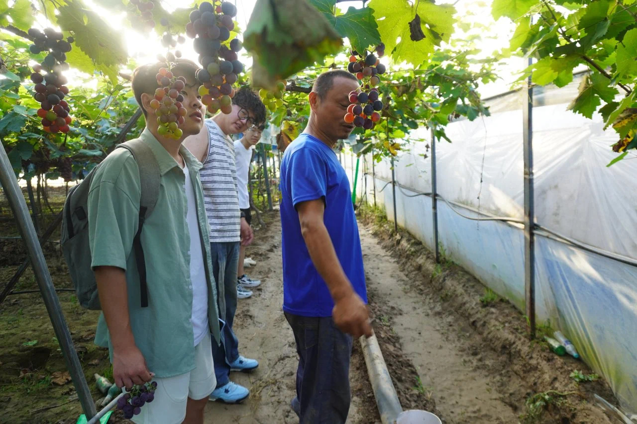 3044永利集团官网